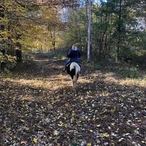 Meet your Posher, Colette